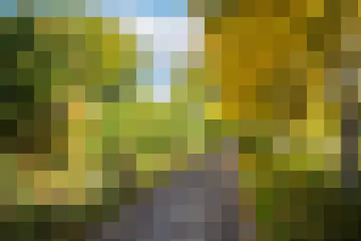 Arabellaplantsoen 29 Nieuwegein thumbnail 57