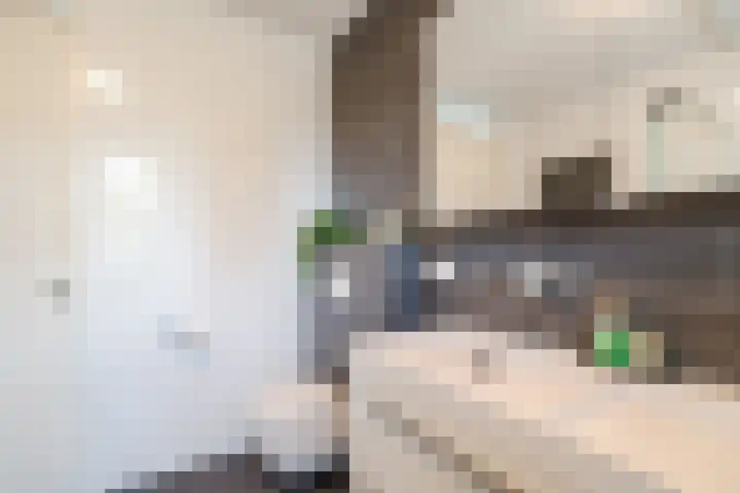 Arabische Zee 1 Amersfoort thumbnail 17