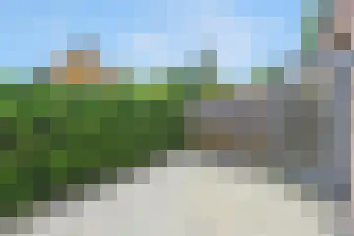 Arabische Zee 6 Amersfoort thumbnail 17