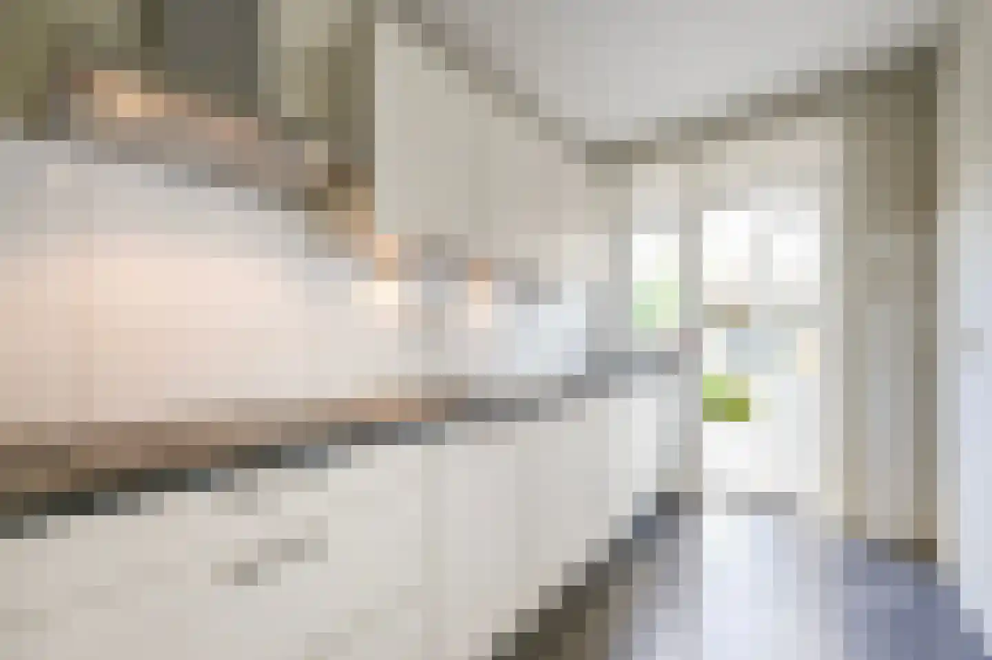 Arabislaan 105 Den Haag thumbnail 22