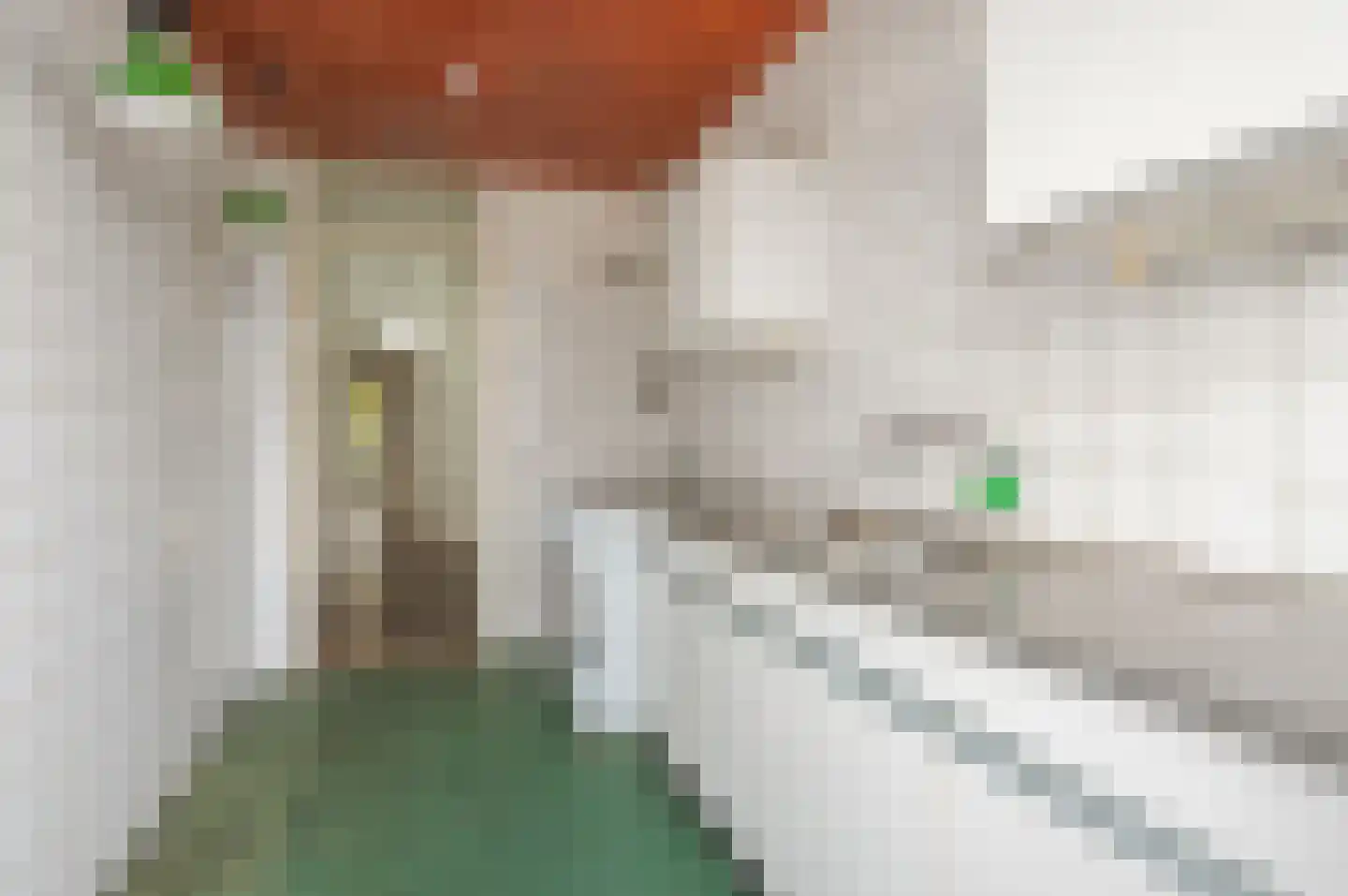 Arabislaan 109 Den Haag thumbnail 34