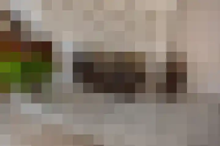 Arabislaan 14 Den Haag thumbnail 12
