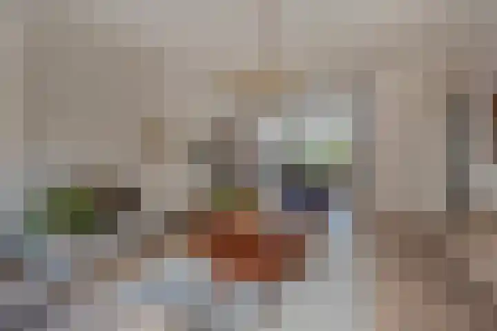 Arabislaan 14 Den Haag thumbnail 13