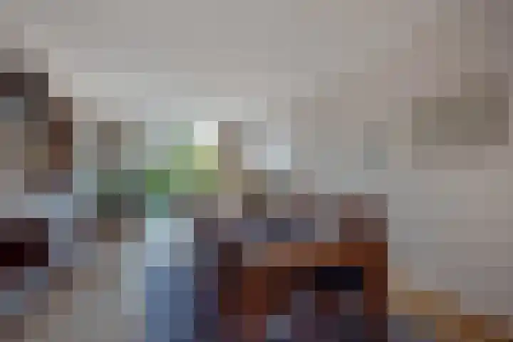Arabislaan 14 Den Haag thumbnail 15