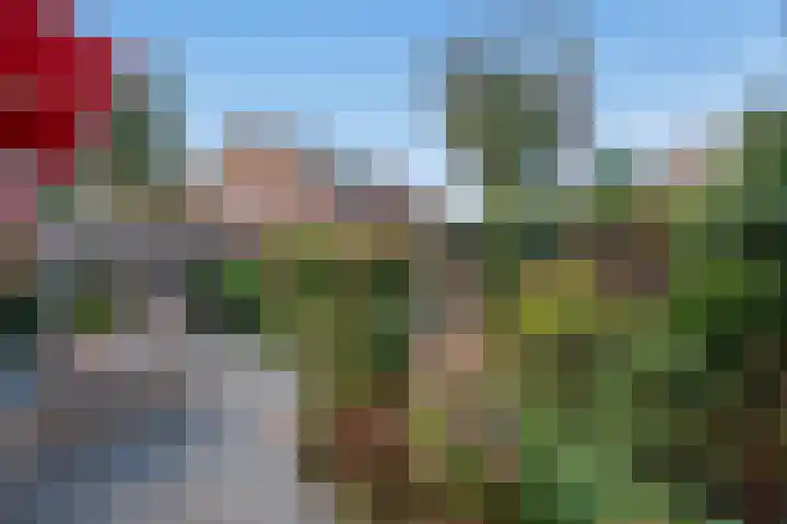 Arabislaan 14 Den Haag thumbnail 19