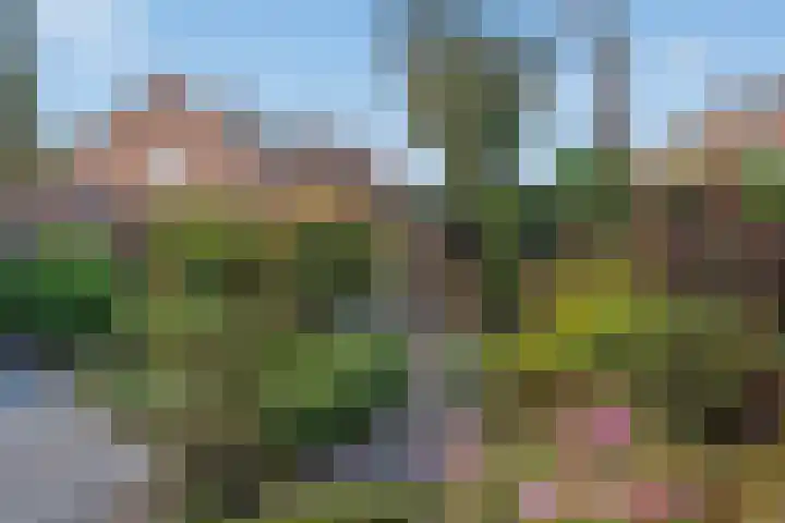 Arabislaan 14 Den Haag thumbnail 20