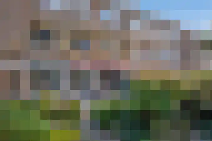 Arabislaan 14 Den Haag thumbnail 22