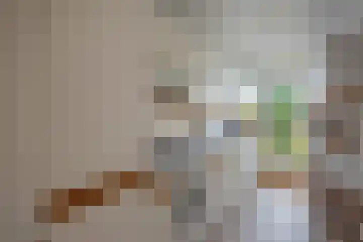 Arabislaan 14 Den Haag thumbnail 26