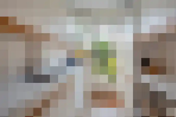 Arabislaan 14 Den Haag thumbnail 27