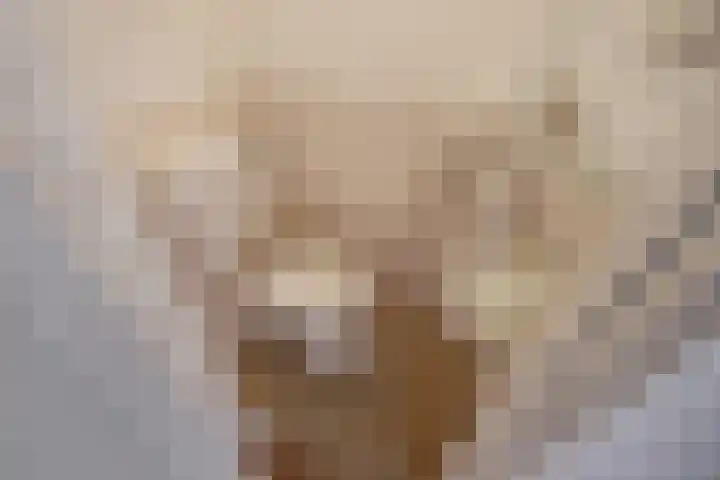Arabislaan 14 Den Haag thumbnail 28