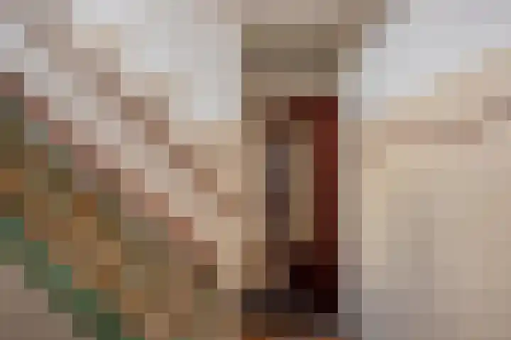 Arabislaan 14 Den Haag thumbnail 33