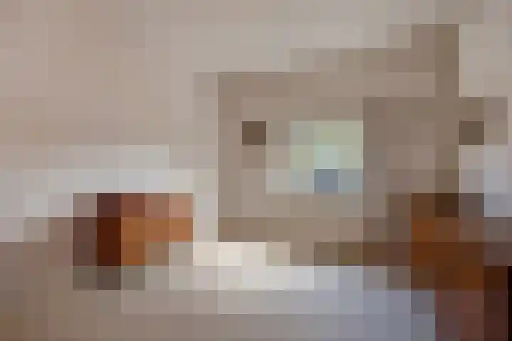 Arabislaan 14 Den Haag thumbnail 9