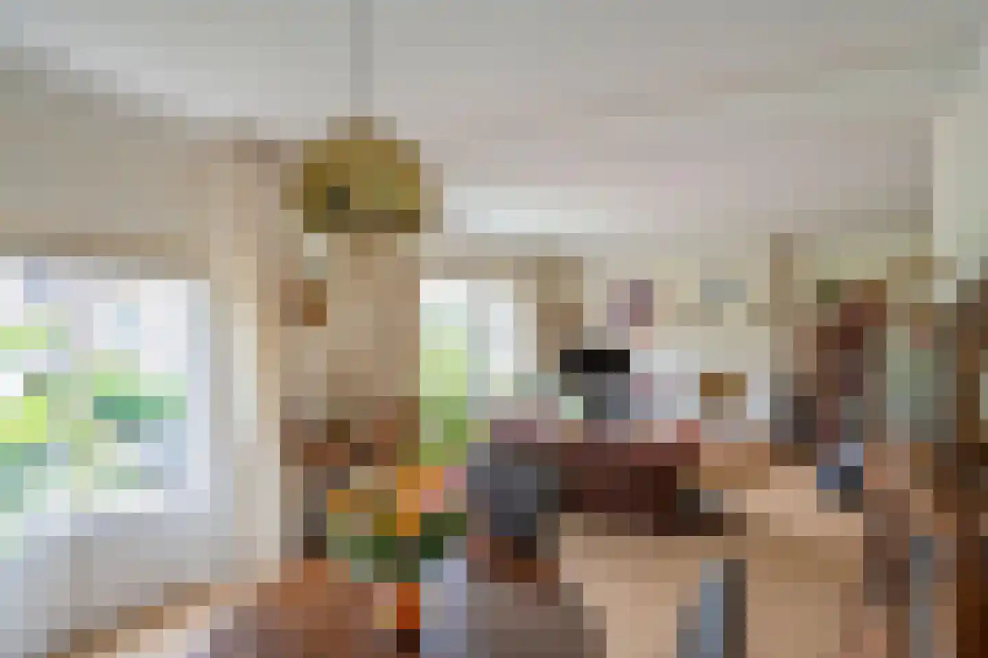Arabislaan 16 Den Haag thumbnail 13