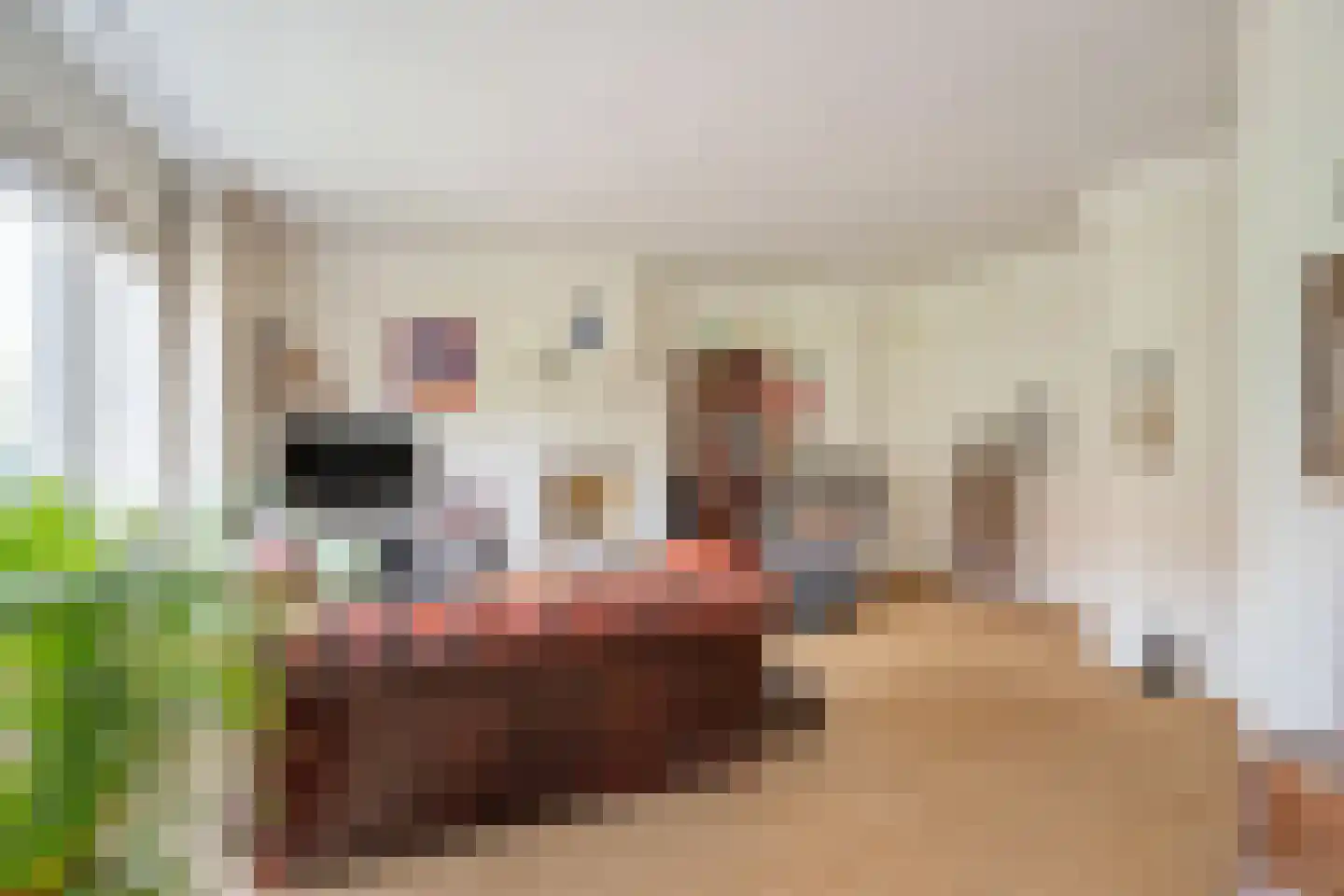 Arabislaan 16 Den Haag thumbnail 16