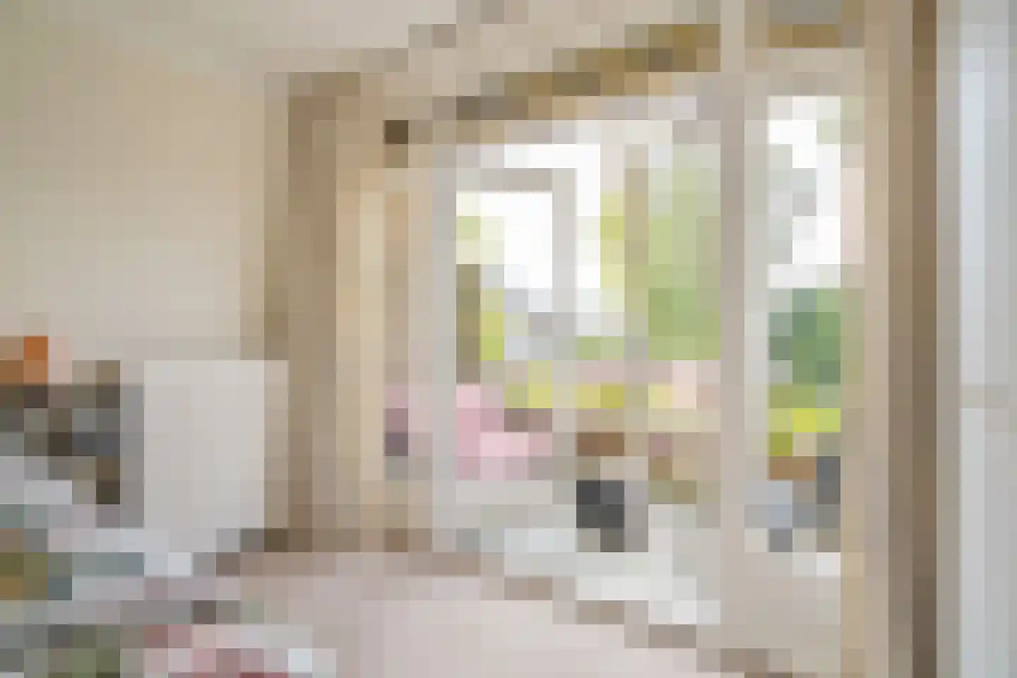 Arabislaan 16 Den Haag thumbnail 20