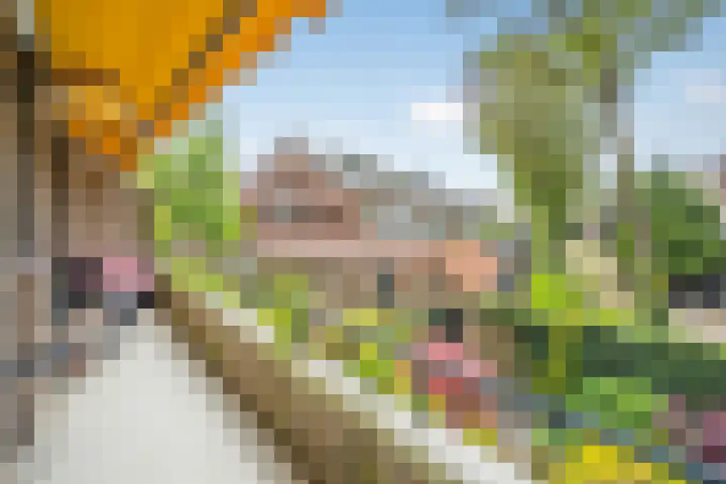 Arabislaan 16 Den Haag thumbnail 29