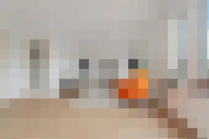 Arabislaan 42 Den Haag thumbnail 11