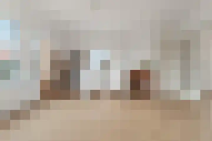 Arabislaan 42 Den Haag thumbnail 21