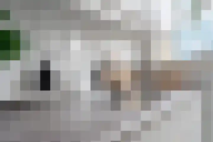 Arabislaan 42 Den Haag thumbnail 31