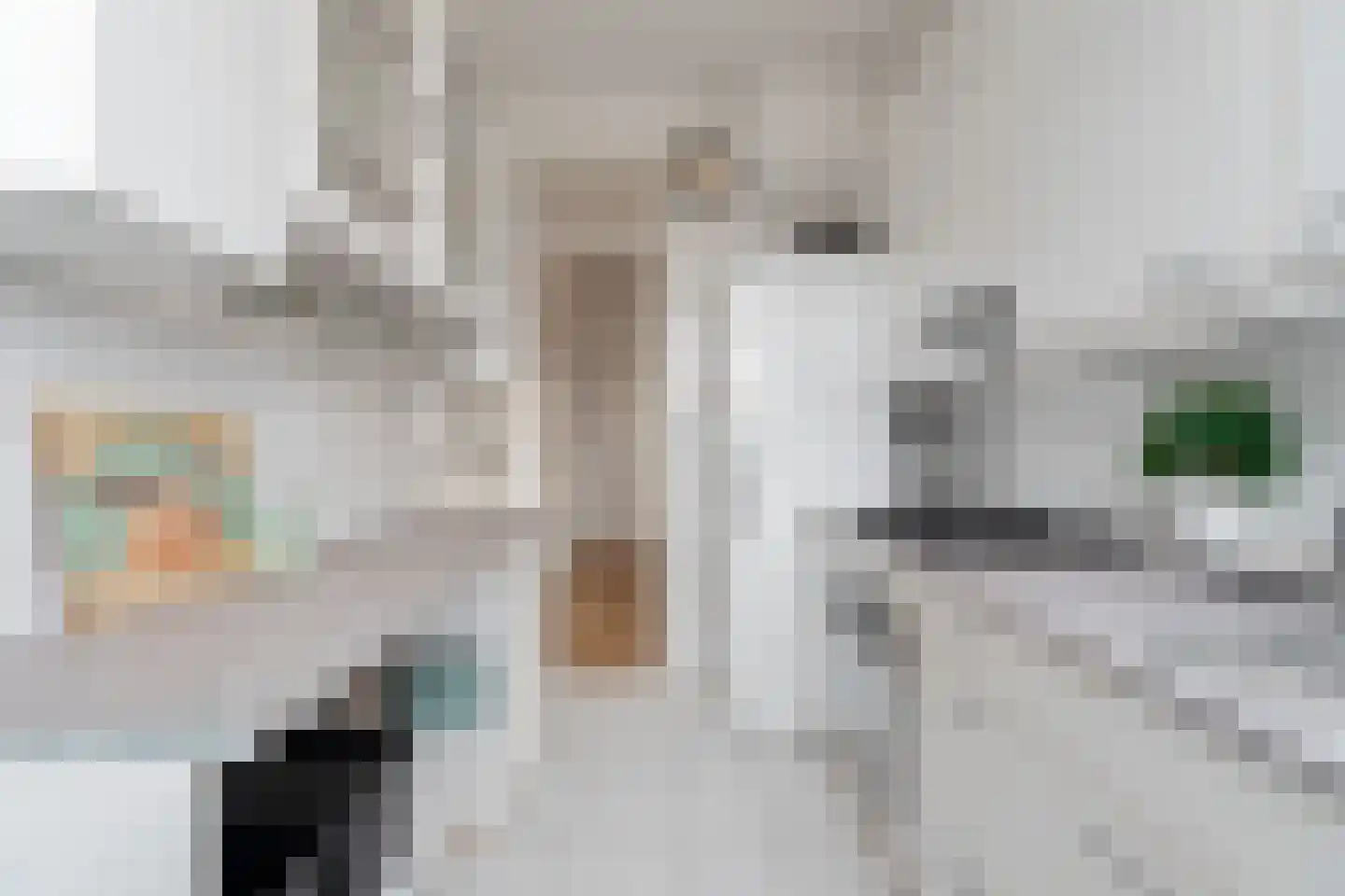 Arabislaan 42 Den Haag thumbnail 32