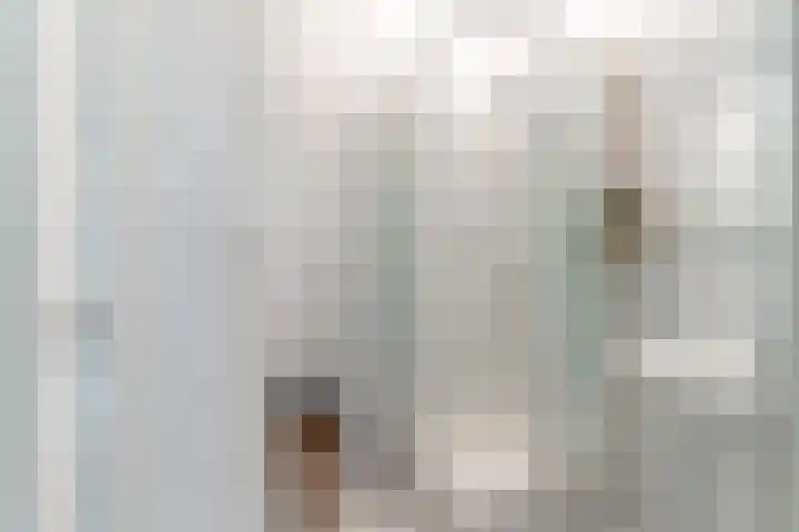 Arabislaan 42 Den Haag thumbnail 35
