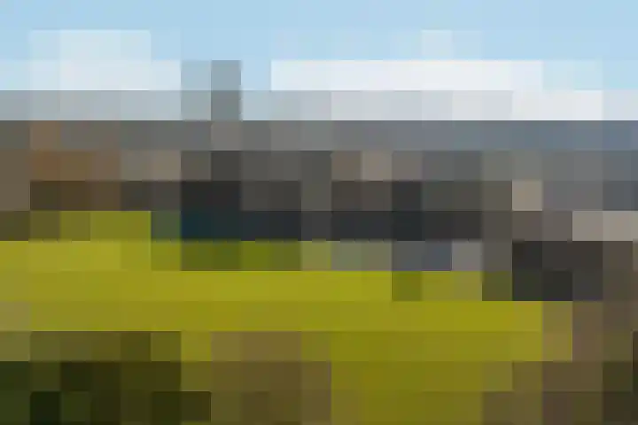 Arabislaan 42 Den Haag thumbnail 58