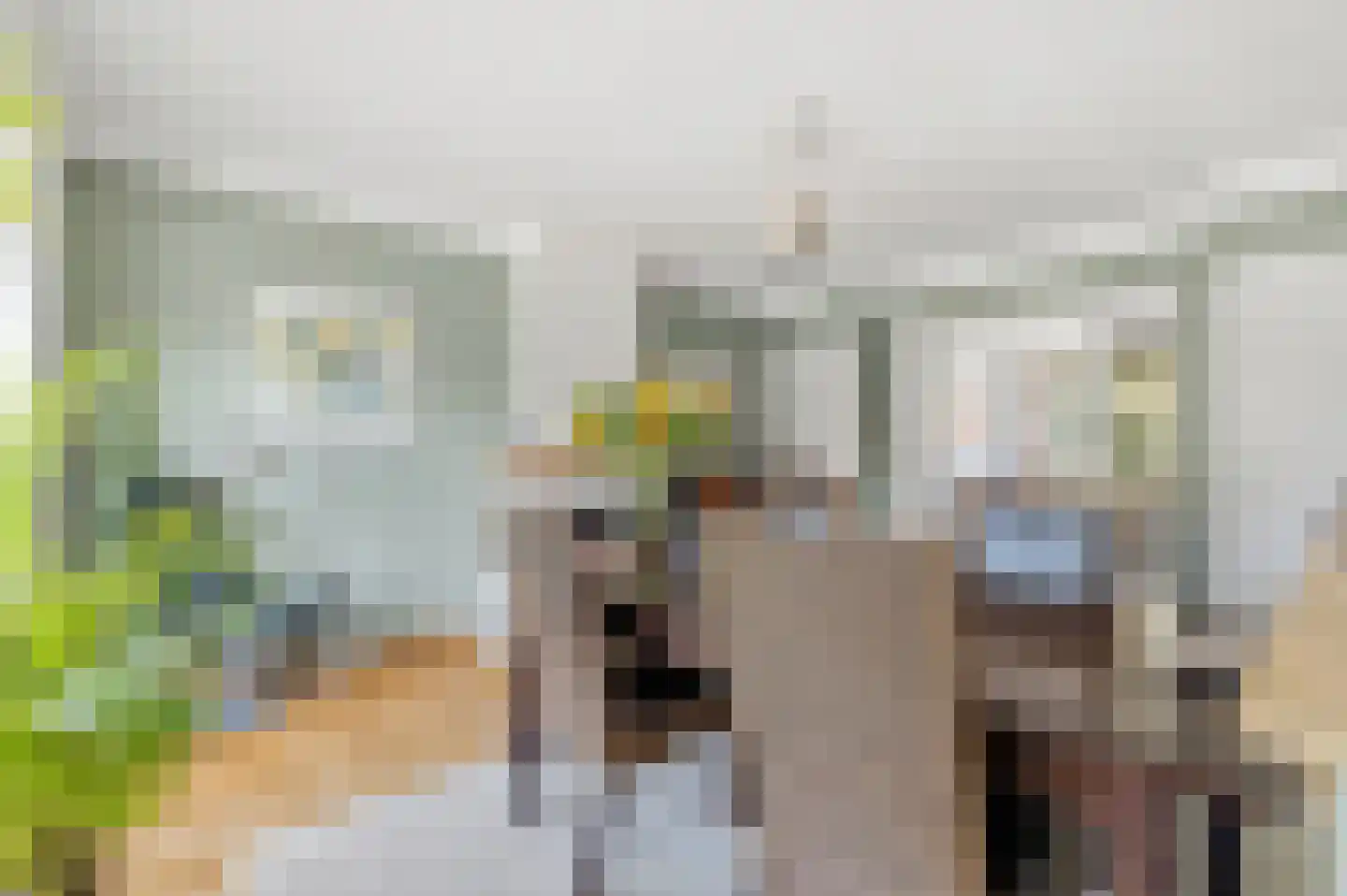 Arabislaan 49 Den Haag thumbnail 10