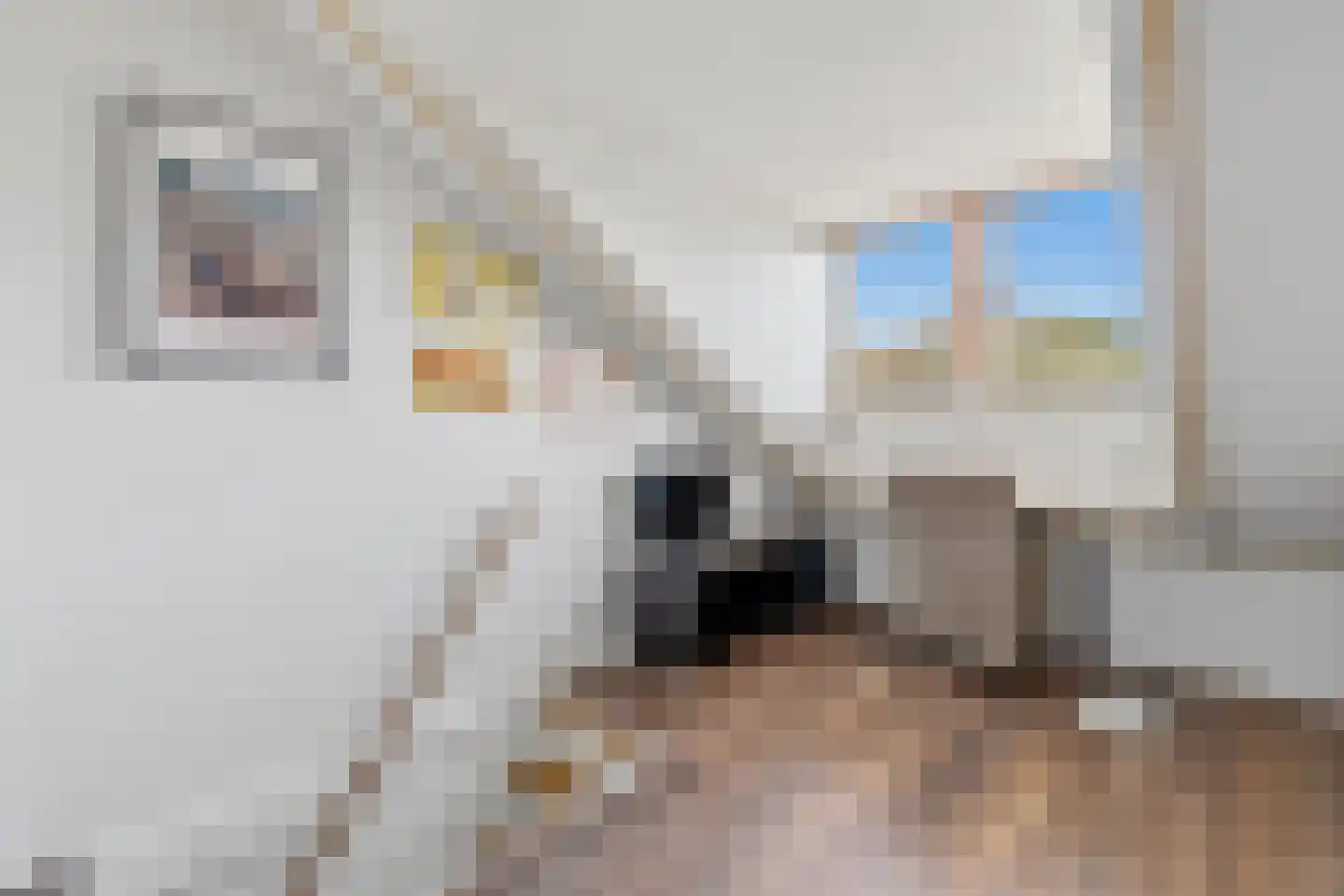 Arabislaan 49 Den Haag thumbnail 35