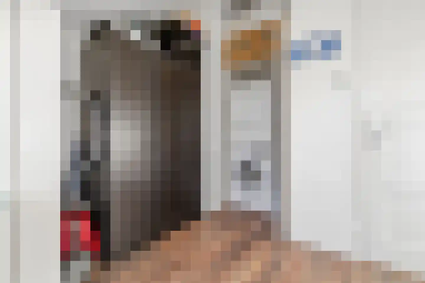 Arabislaan 49 Den Haag thumbnail 37