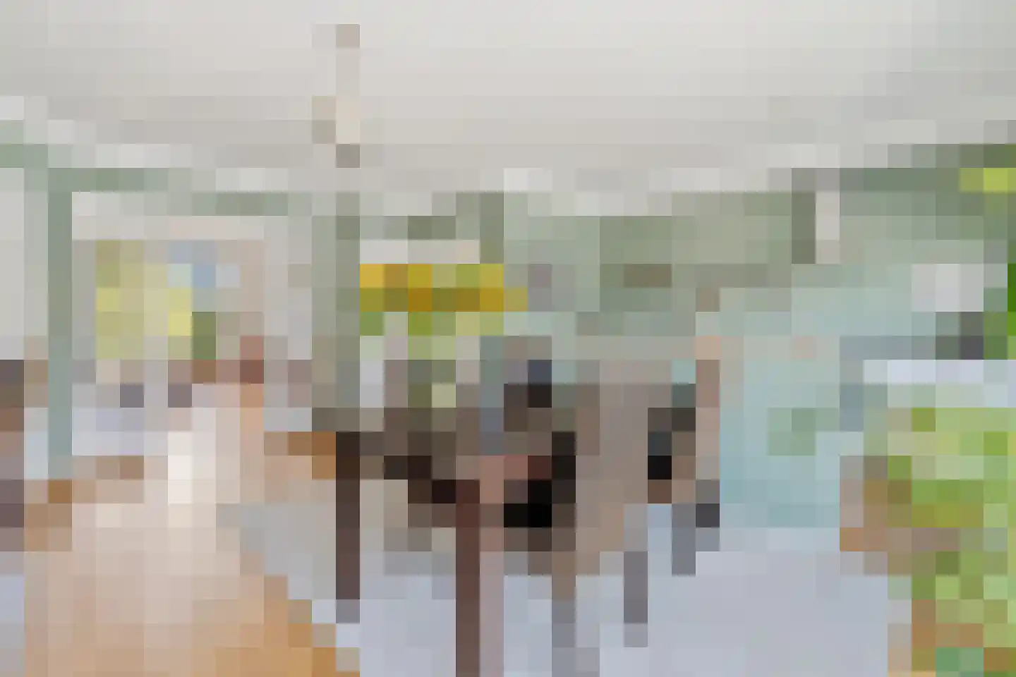 Arabislaan 49 Den Haag thumbnail 4
