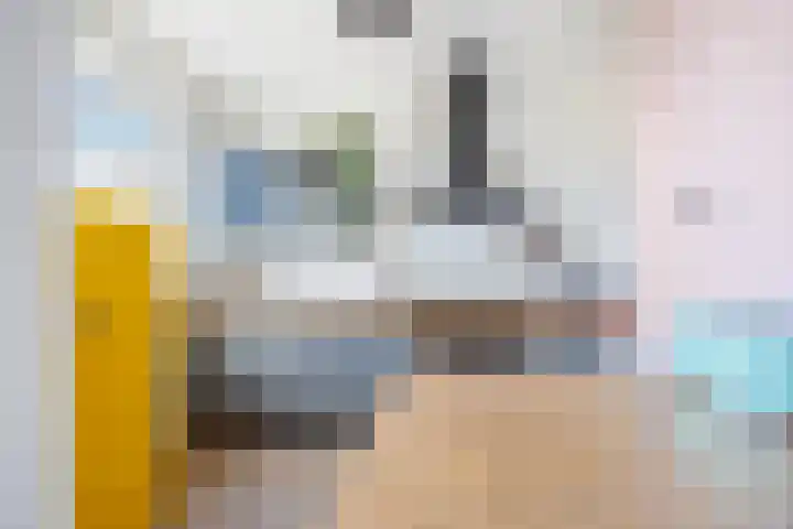 Arabislaan 66 Den Haag thumbnail 11