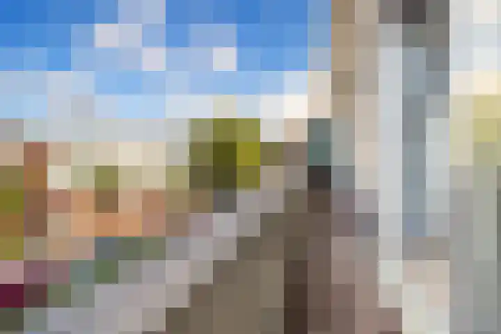 Arabislaan 66 Den Haag thumbnail 15