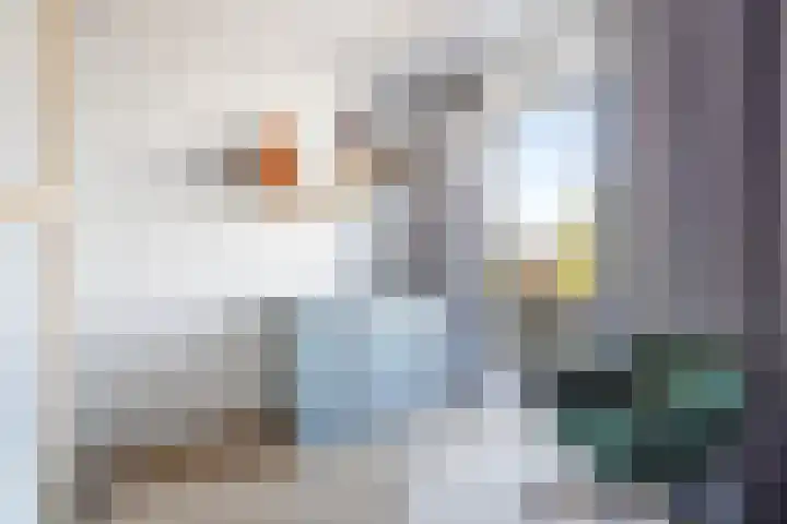 Arabislaan 66 Den Haag thumbnail 23