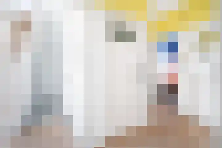 Arabislaan 66 Den Haag thumbnail 25
