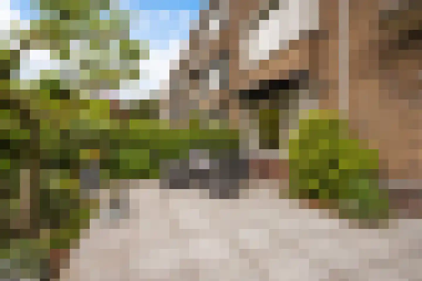 Arabislaan 7 Den Haag thumbnail 12
