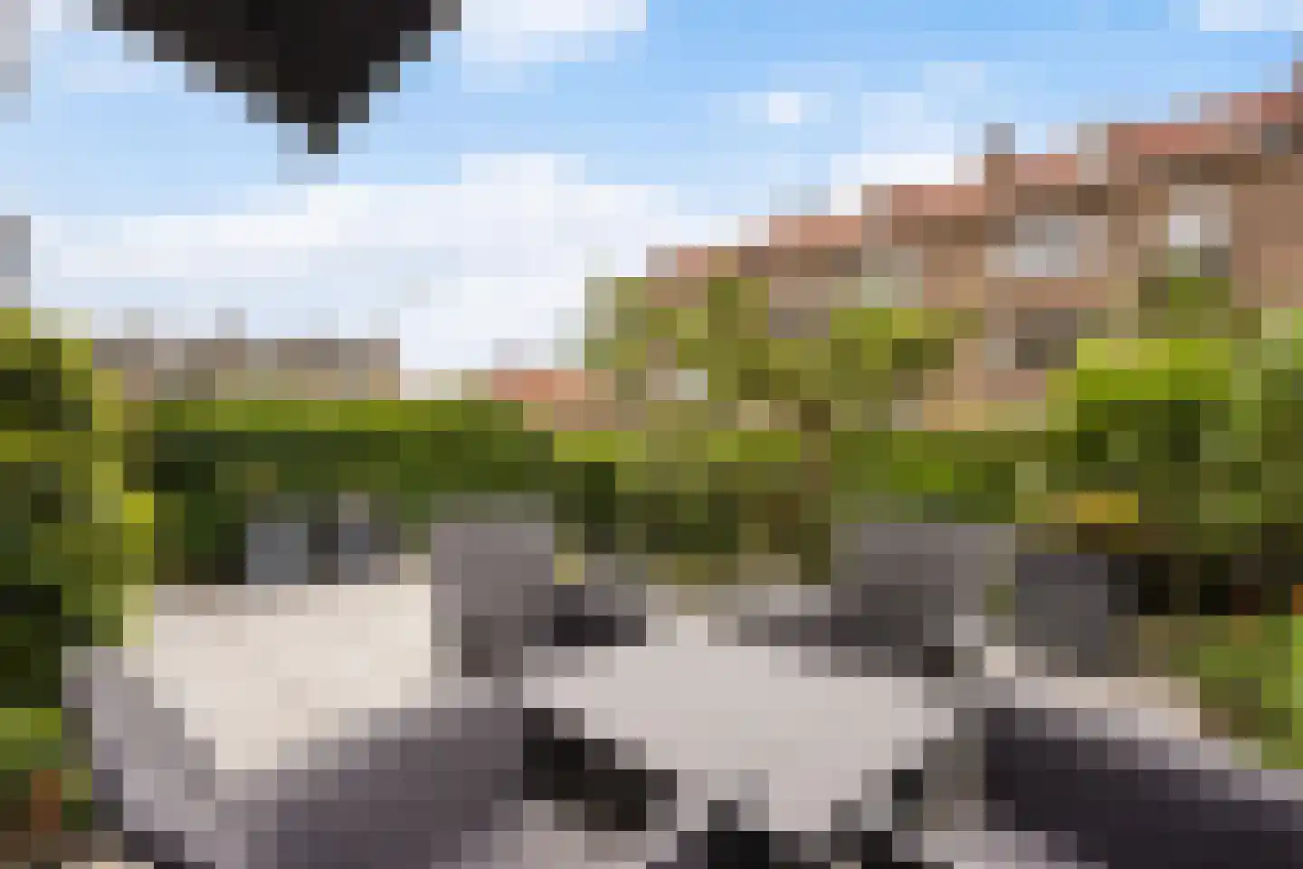 Arabislaan 7 Den Haag thumbnail 13