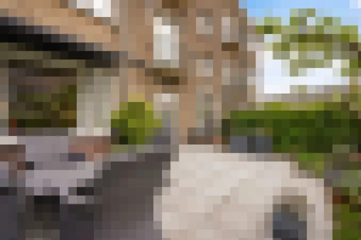 Arabislaan 7 Den Haag thumbnail 14