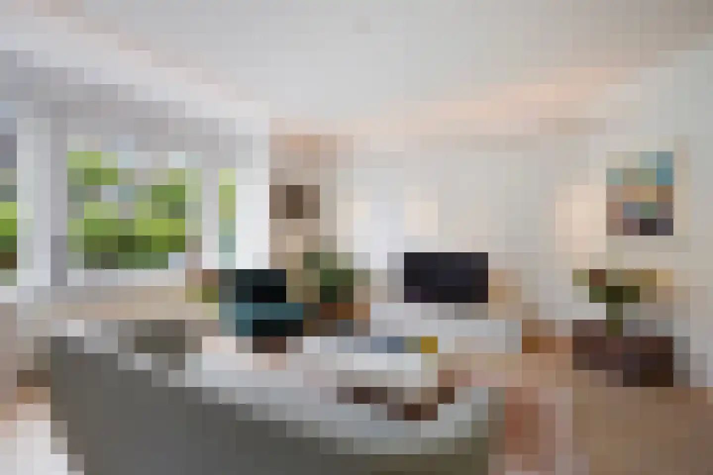 Arabislaan 7 Den Haag thumbnail 16