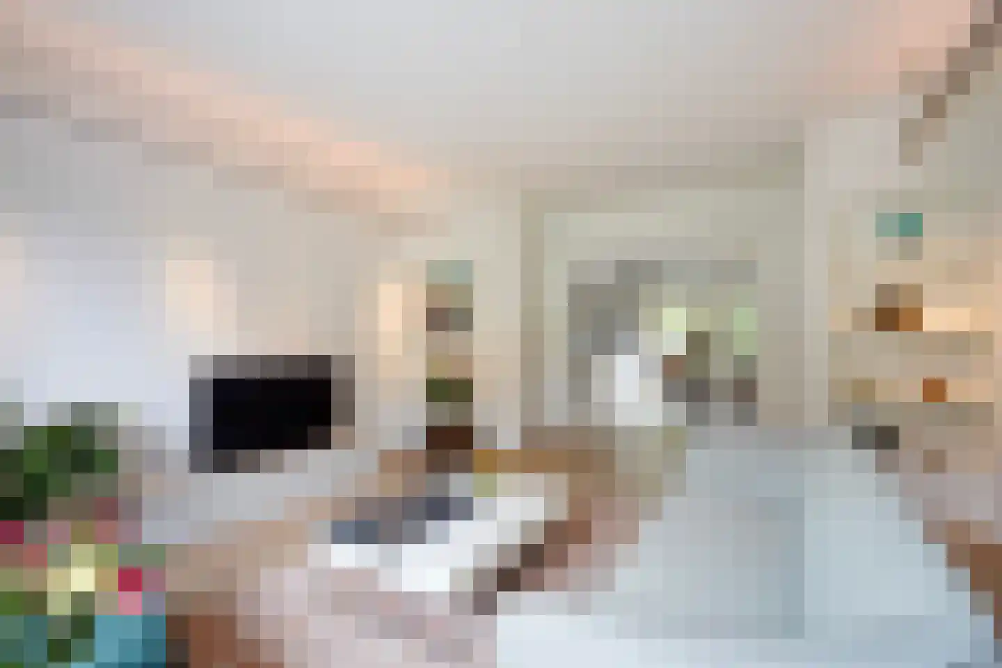 Arabislaan 7 Den Haag thumbnail 17