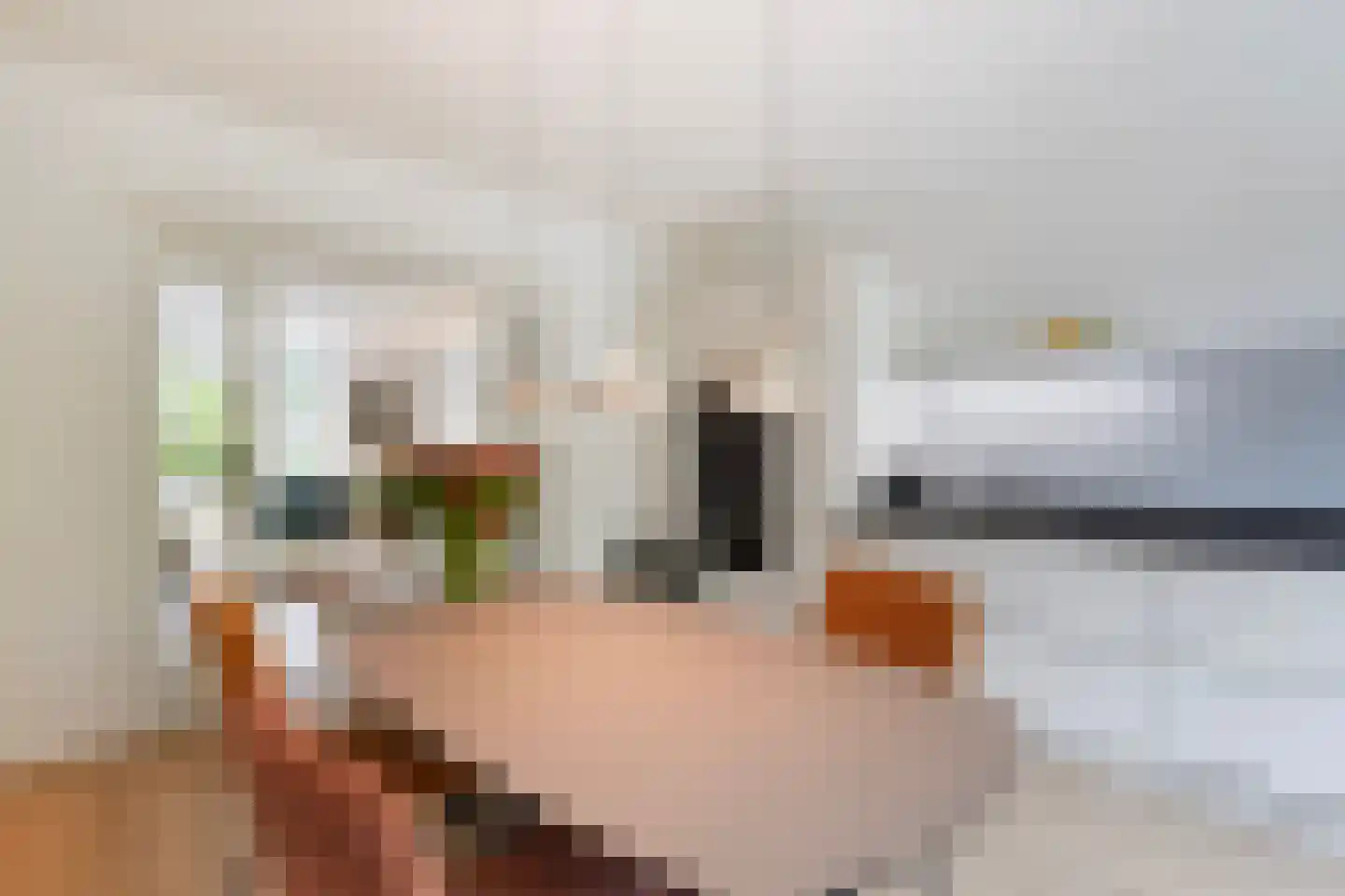 Arabislaan 7 Den Haag thumbnail 29
