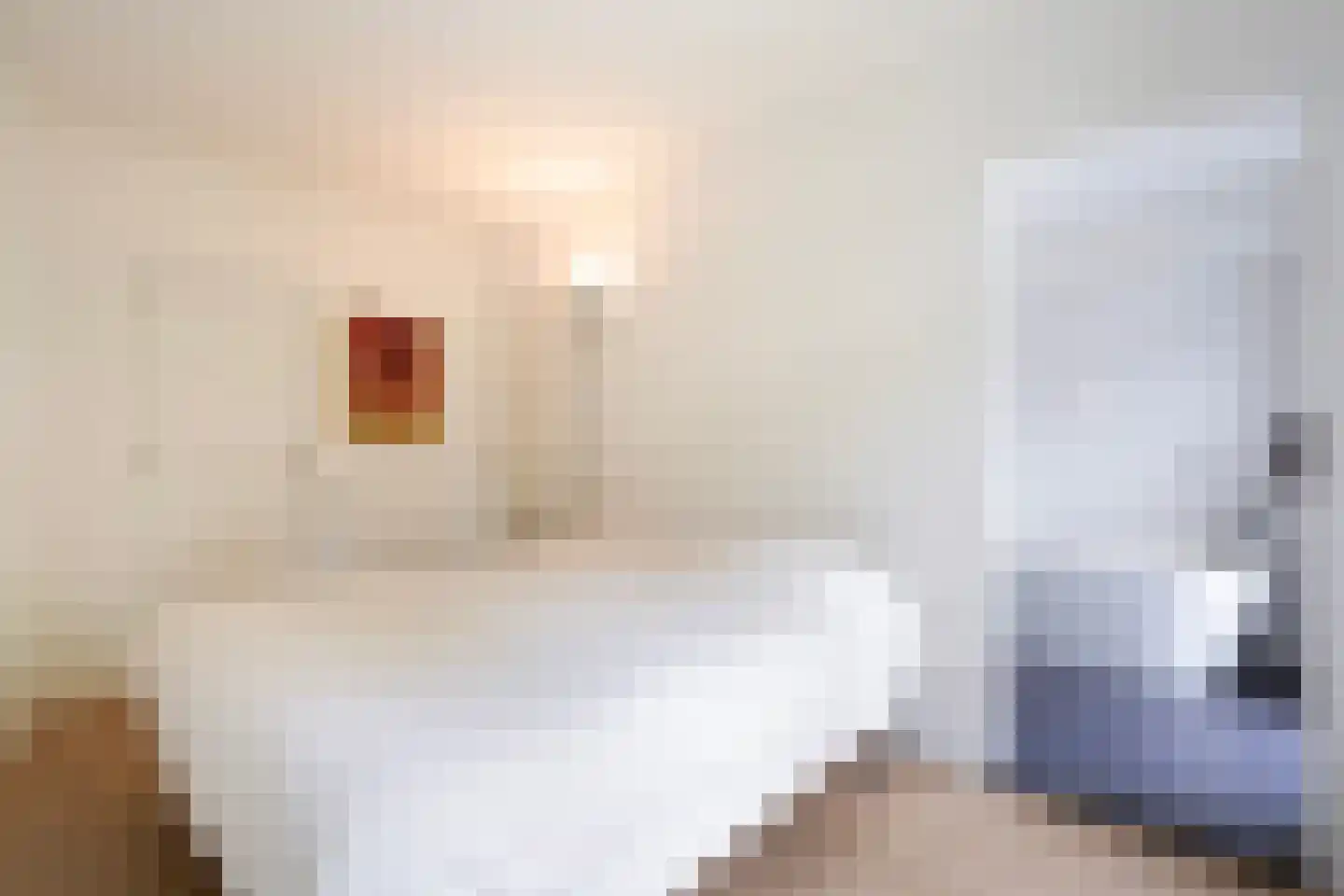 Arabislaan 7 Den Haag thumbnail 34