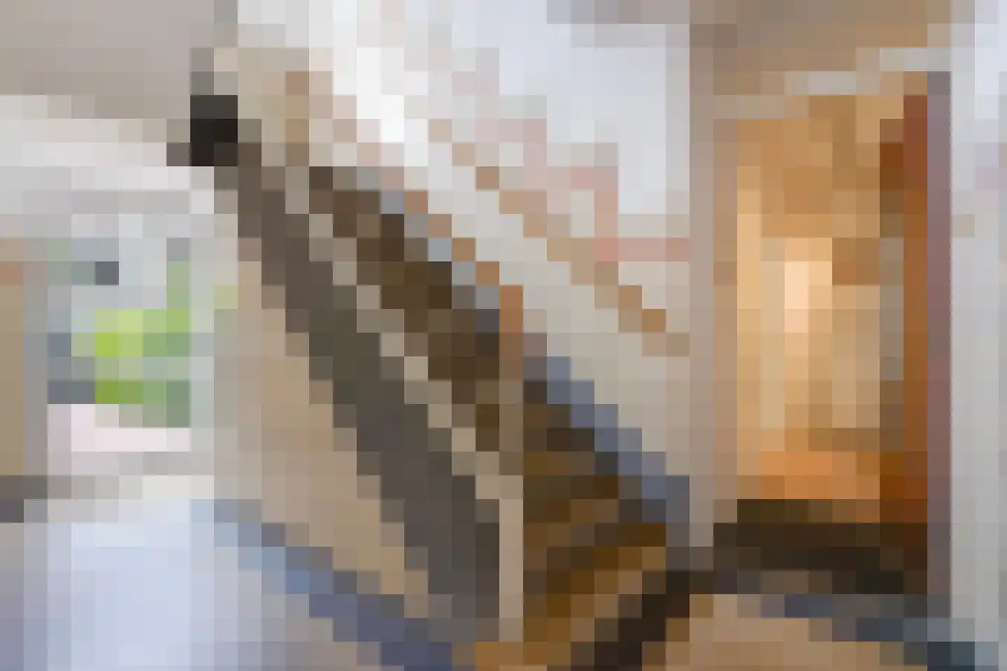 Arabislaan 7 Den Haag thumbnail 42