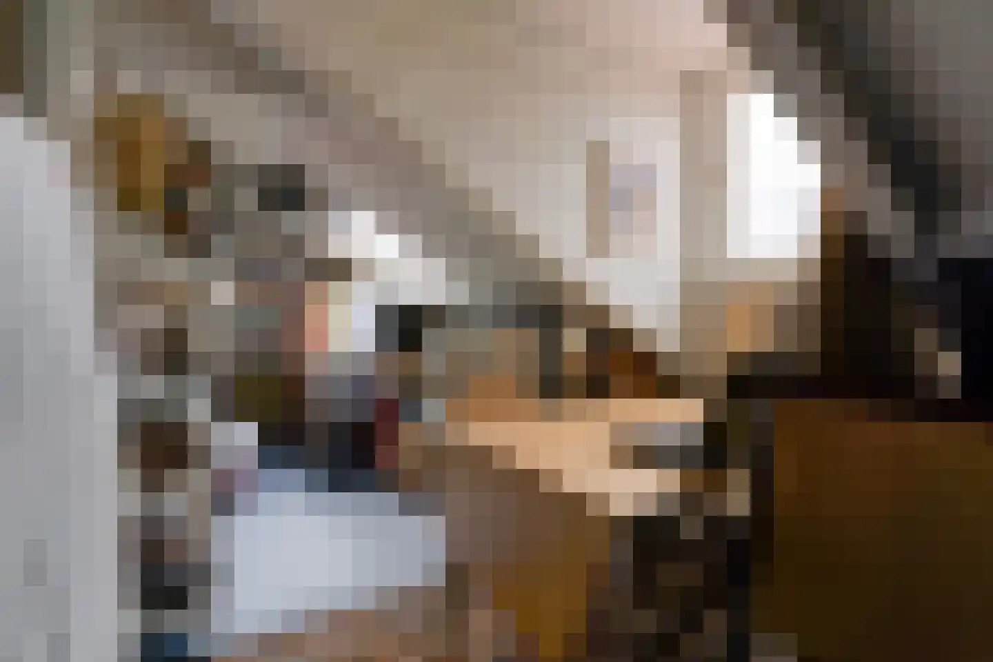 Arabislaan 7 Den Haag thumbnail 43