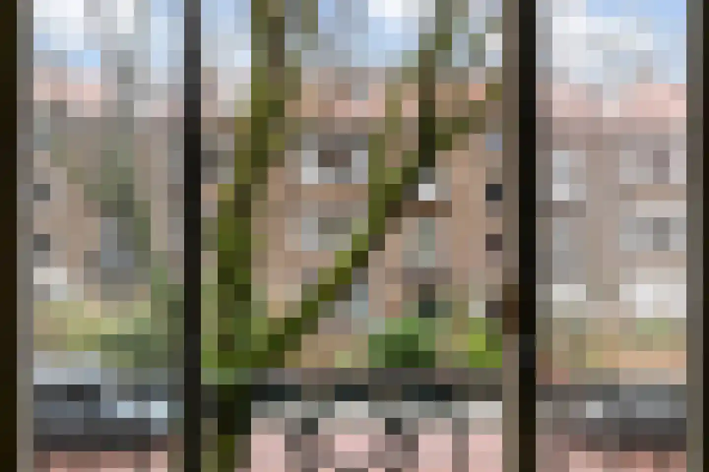 Arabislaan 80 Den Haag thumbnail 23