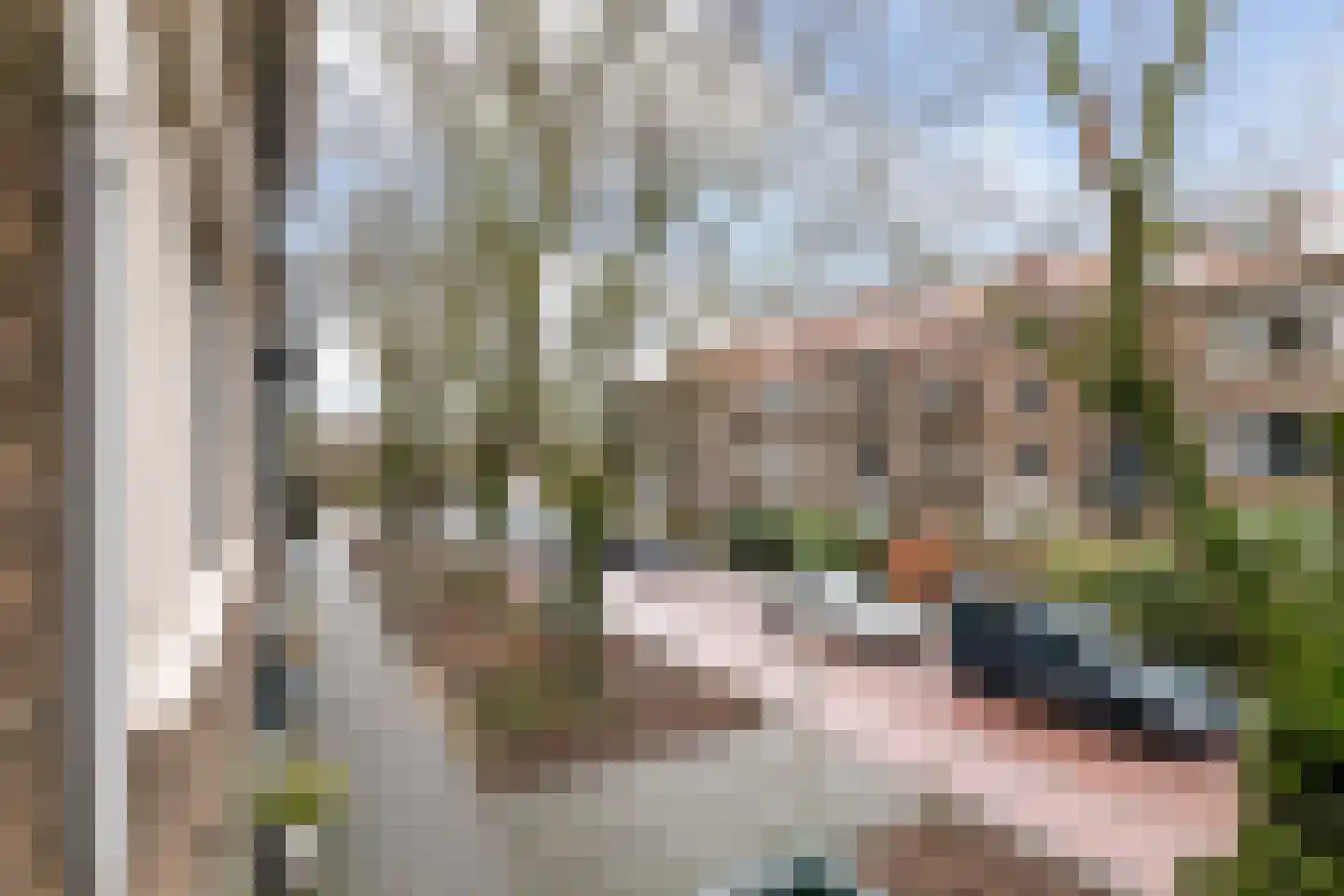 Arabislaan 80 Den Haag thumbnail 24