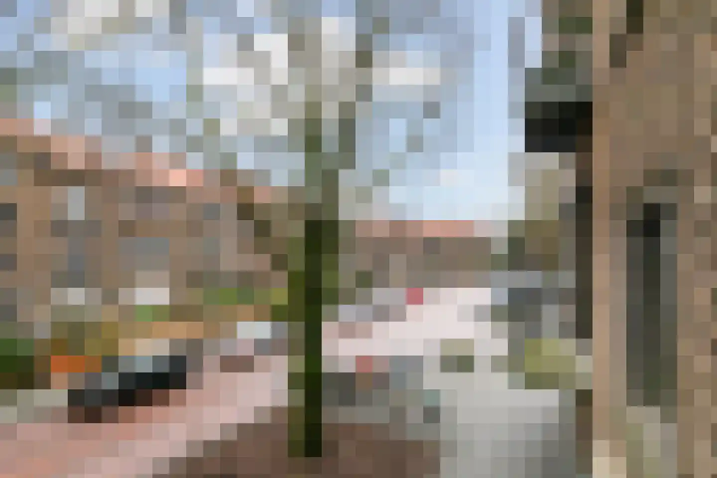 Arabislaan 80 Den Haag thumbnail 25
