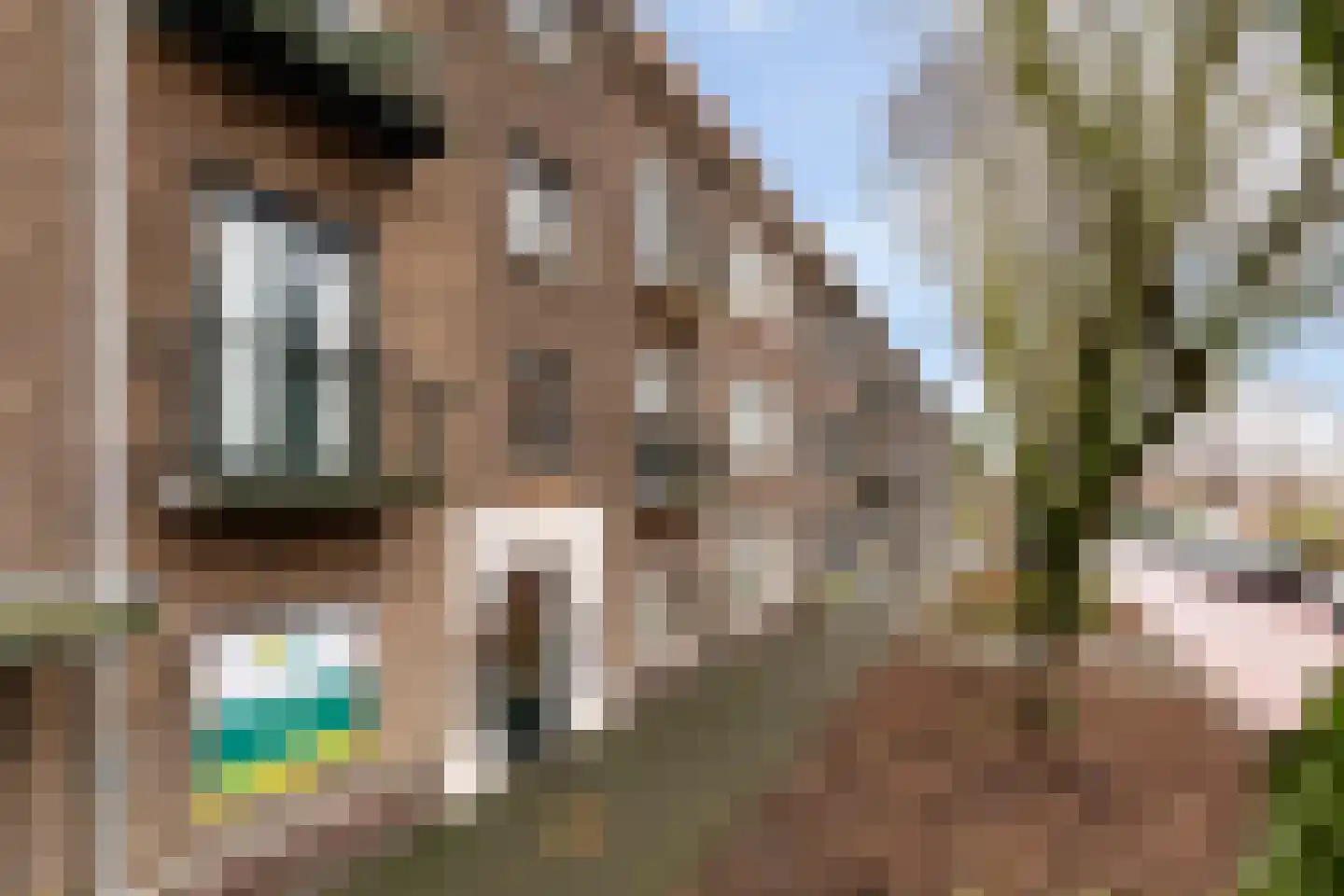 Arabislaan 80 Den Haag thumbnail 5