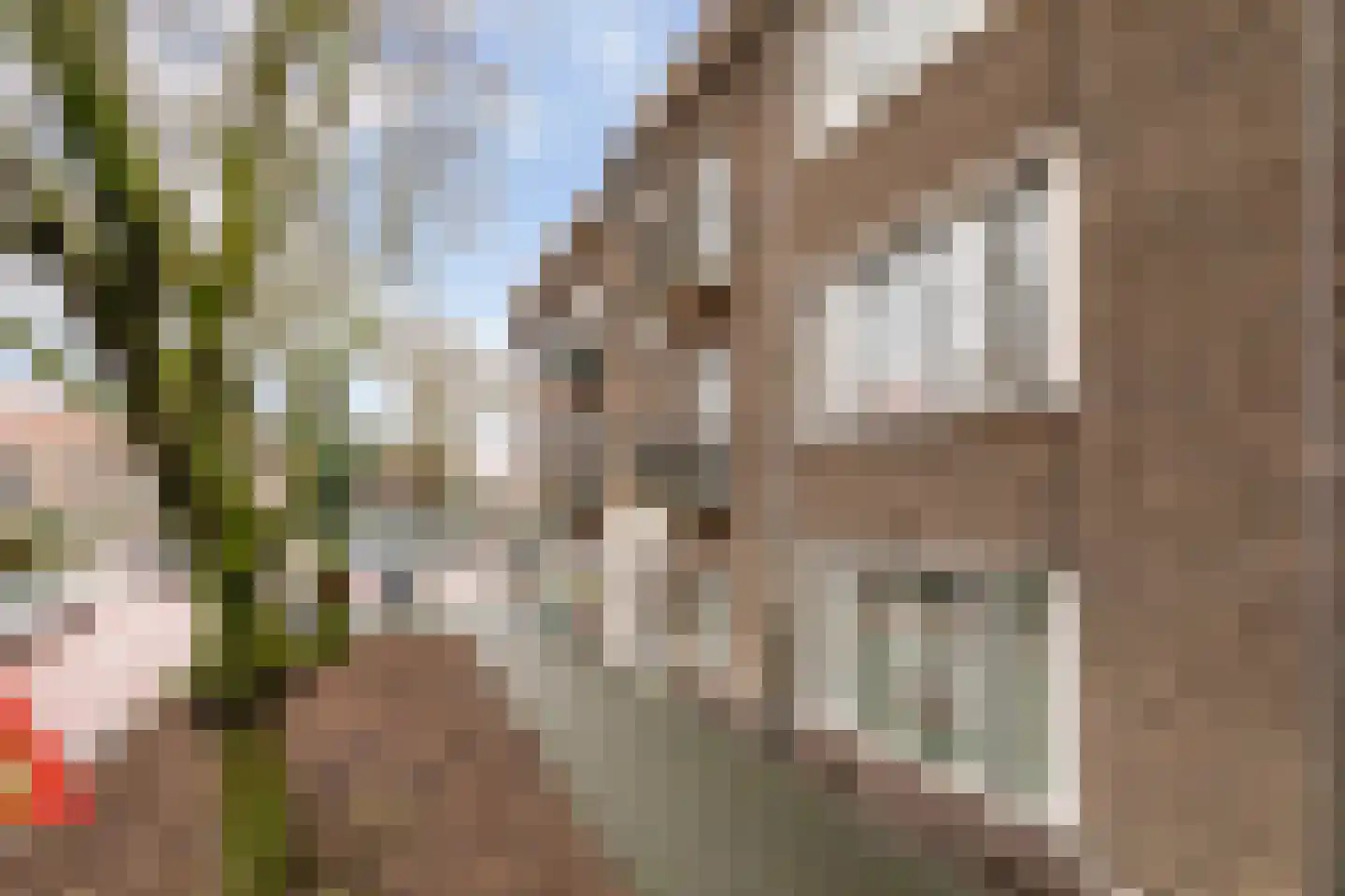 Arabislaan 80 Den Haag thumbnail 6