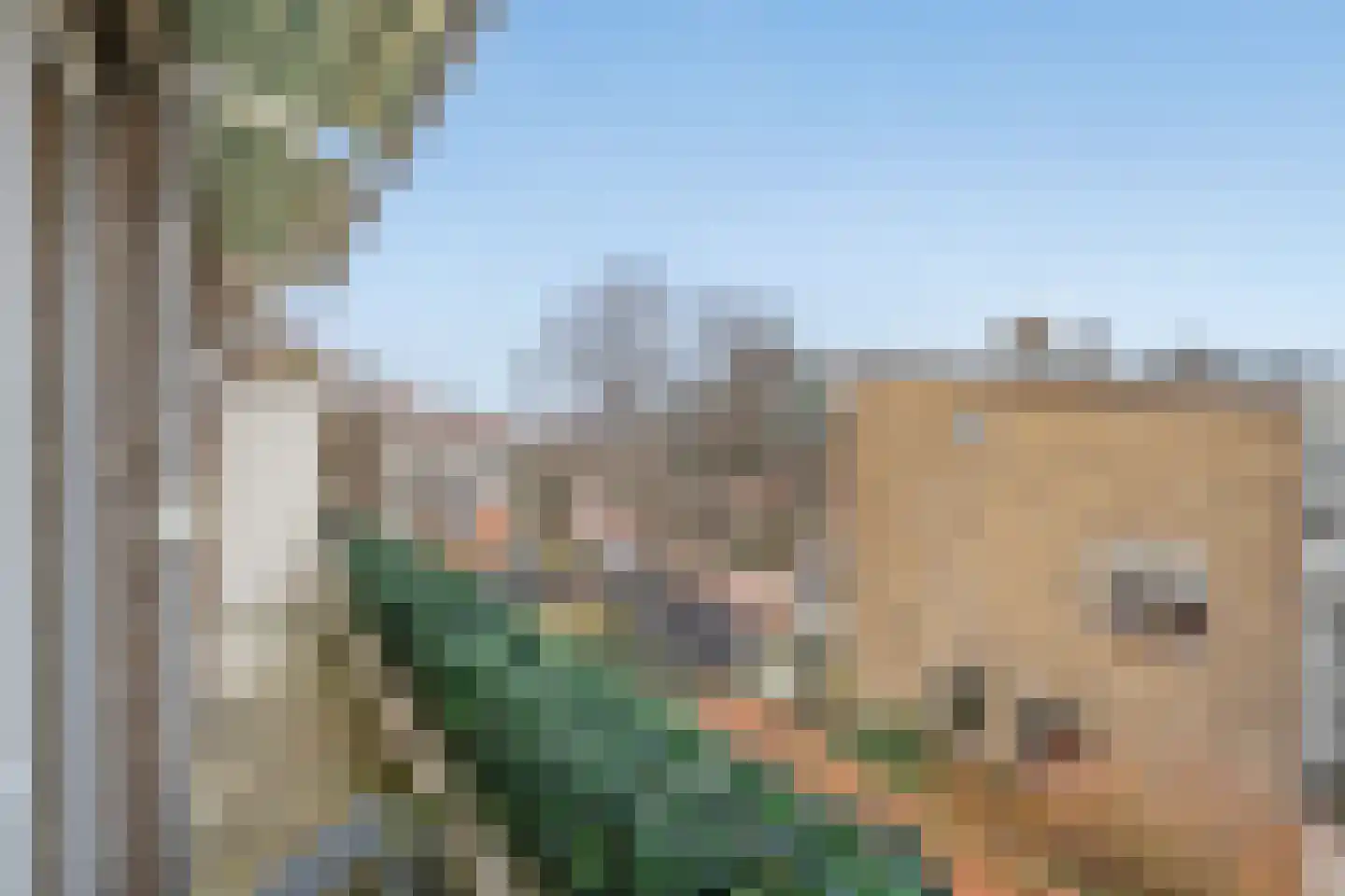 Arabislaan 82 Den Haag thumbnail 22