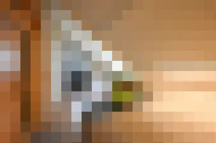 Arabislaan 84 Den Haag thumbnail 38